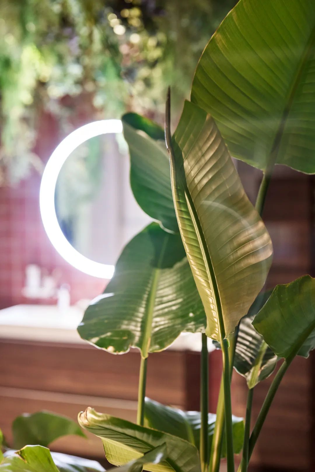 汉斯格雅梦中浴室丨德国丨IFG-32