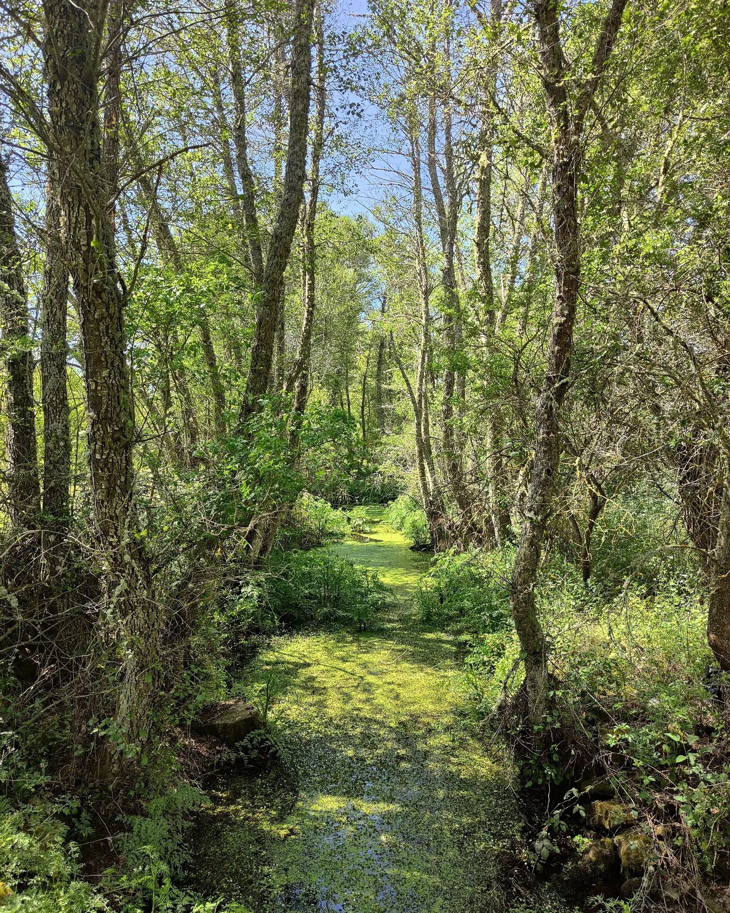 穿越内心王国之旅-48