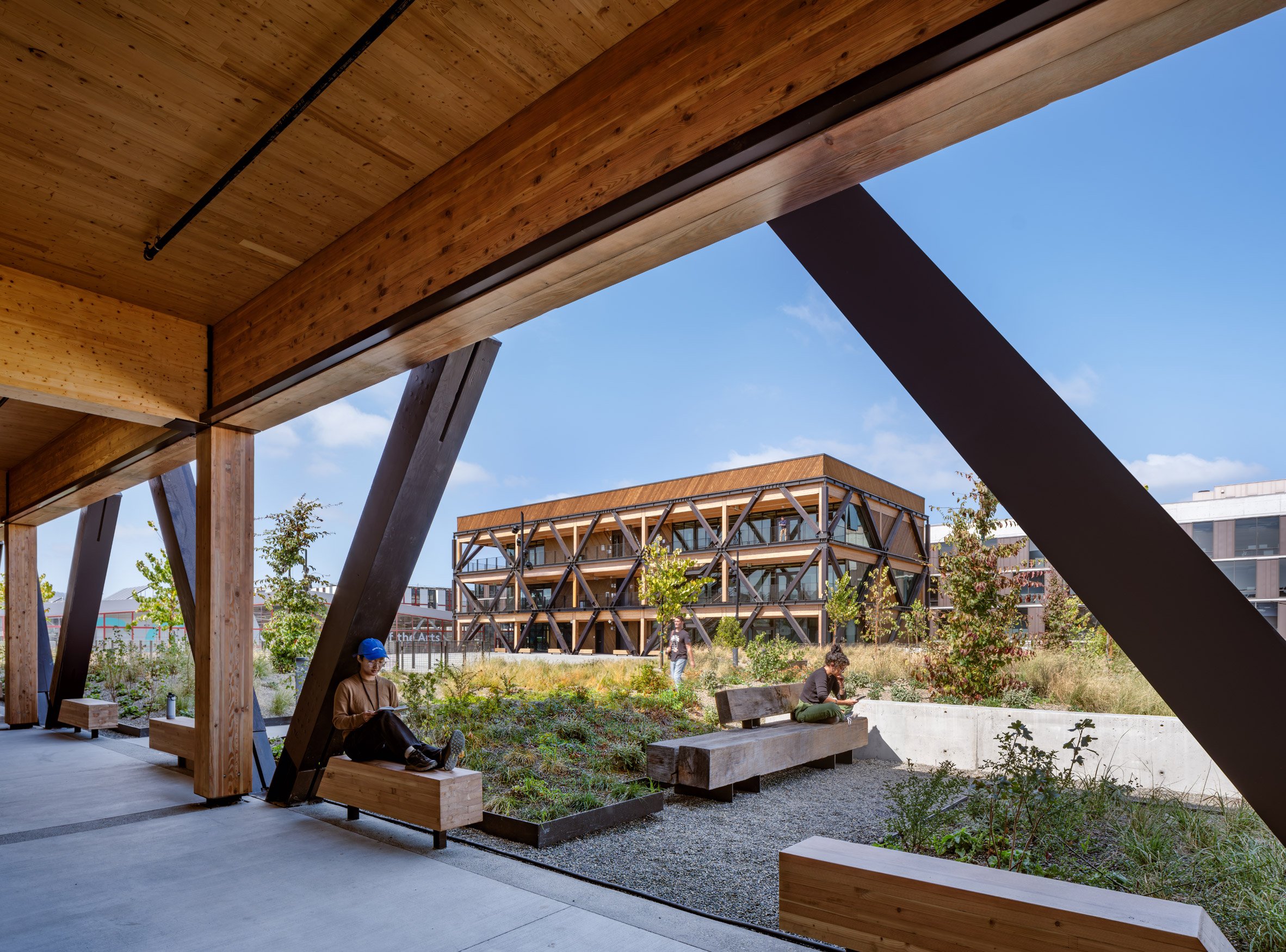 Studio Gang places "eccentric" mass-timber buildings around concrete terrace-7