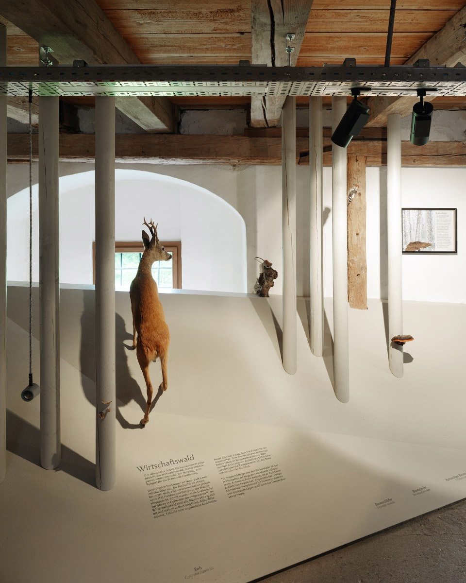 自然公园游客中心空间设计，奥地利 / INNOCAD-29