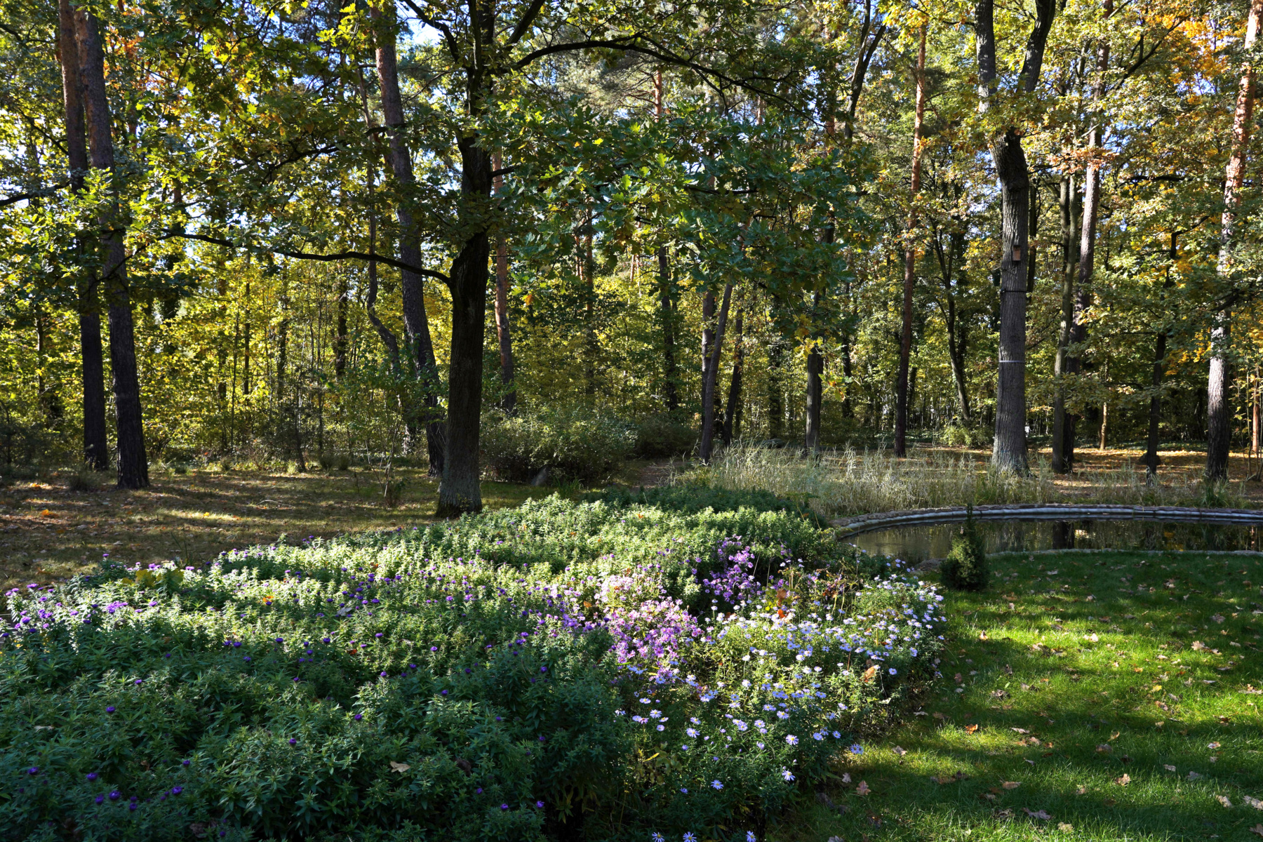 Muzeum J· Piłsudskiego（约瑟夫·毕苏斯基博物馆）-19