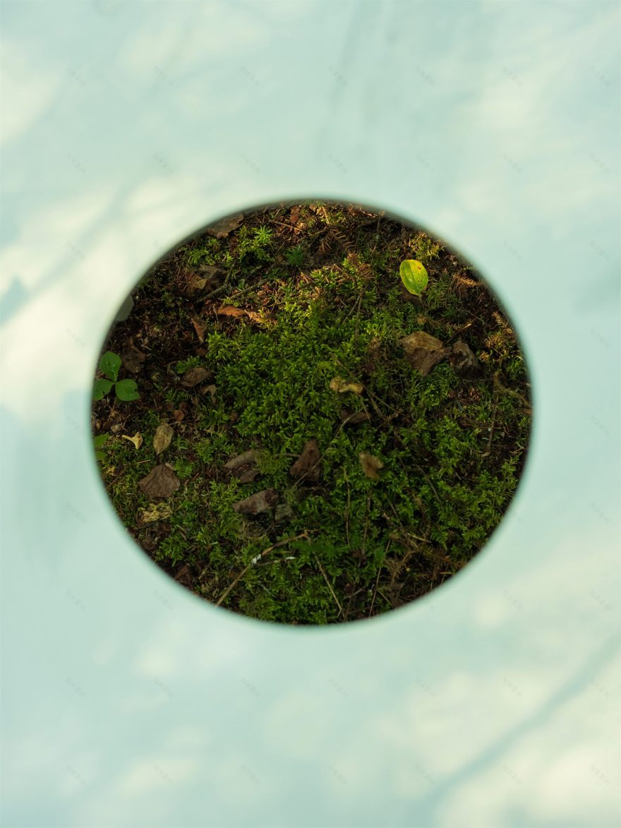 嵌套循环丨加拿大维多利亚丨Thom Fougere-28