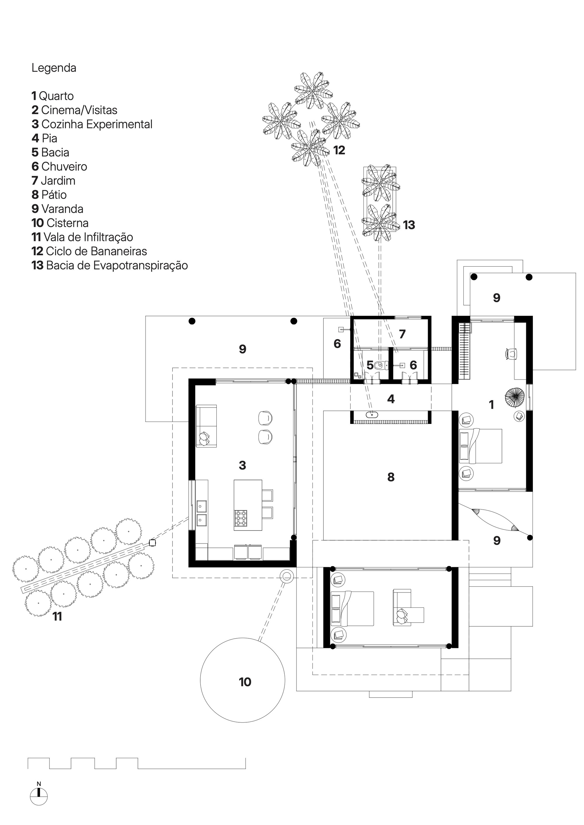 丨巴西伯南布哥丨AzulPitanga-23