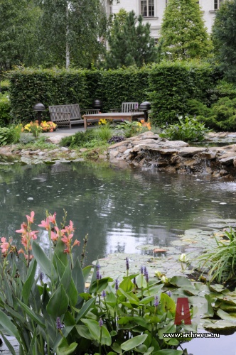 景观设计:小型地块的古典风格花园丨IL NATURE-29