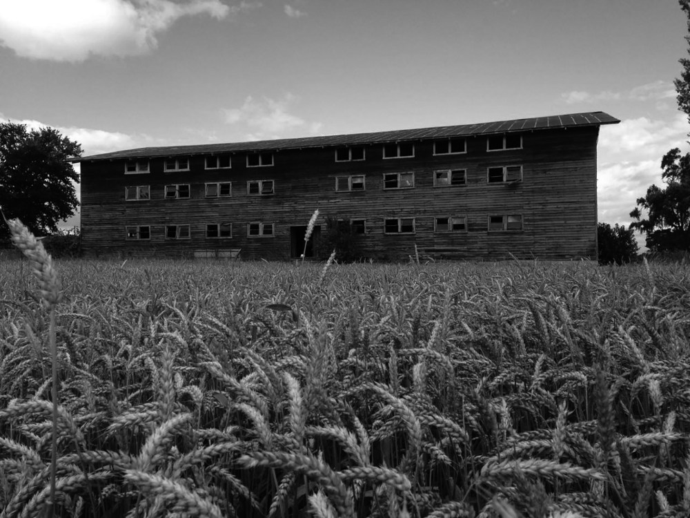 智利 La Trufera 房子 · 旧谷仓的环保再利用-26