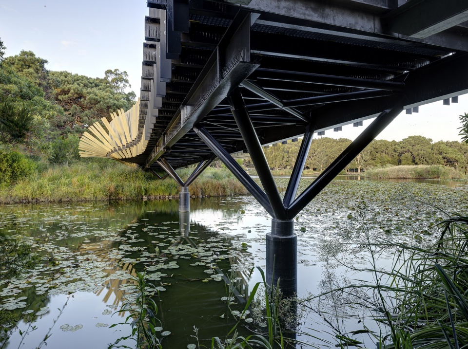 Bara 桥梁丨澳大利亚悉尼丨Sam Crawford Architects-10