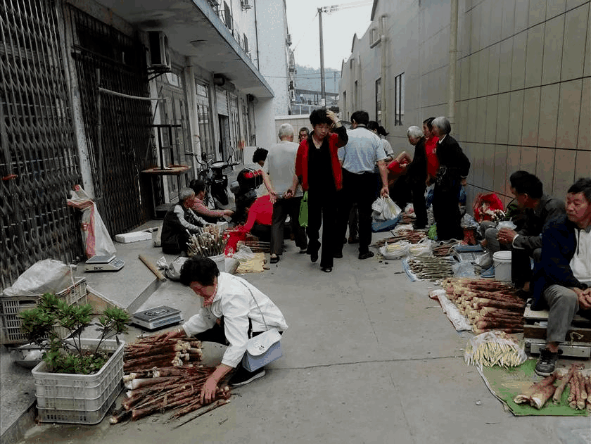 坐落千年古镇,横溪菜场改造升级,新中式田园风刷新菜场“高颜值”!-64