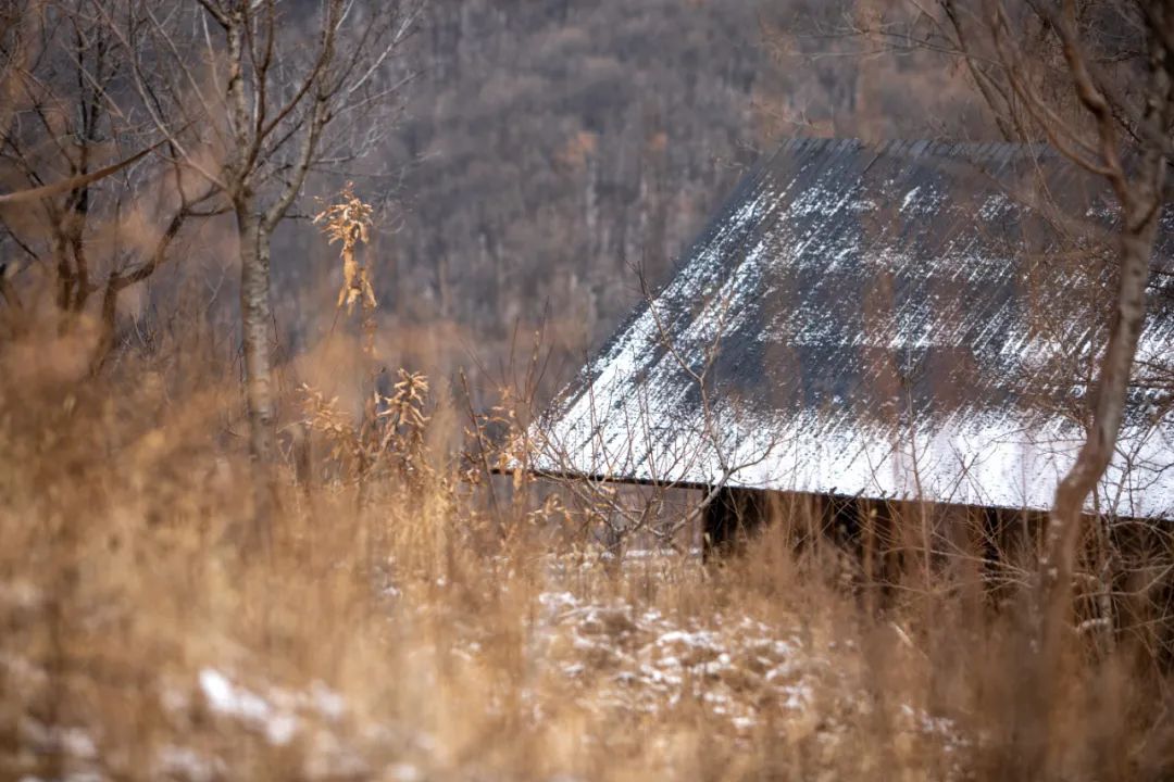 树下·山中木屋丨中国洛阳丨二合永设计-12