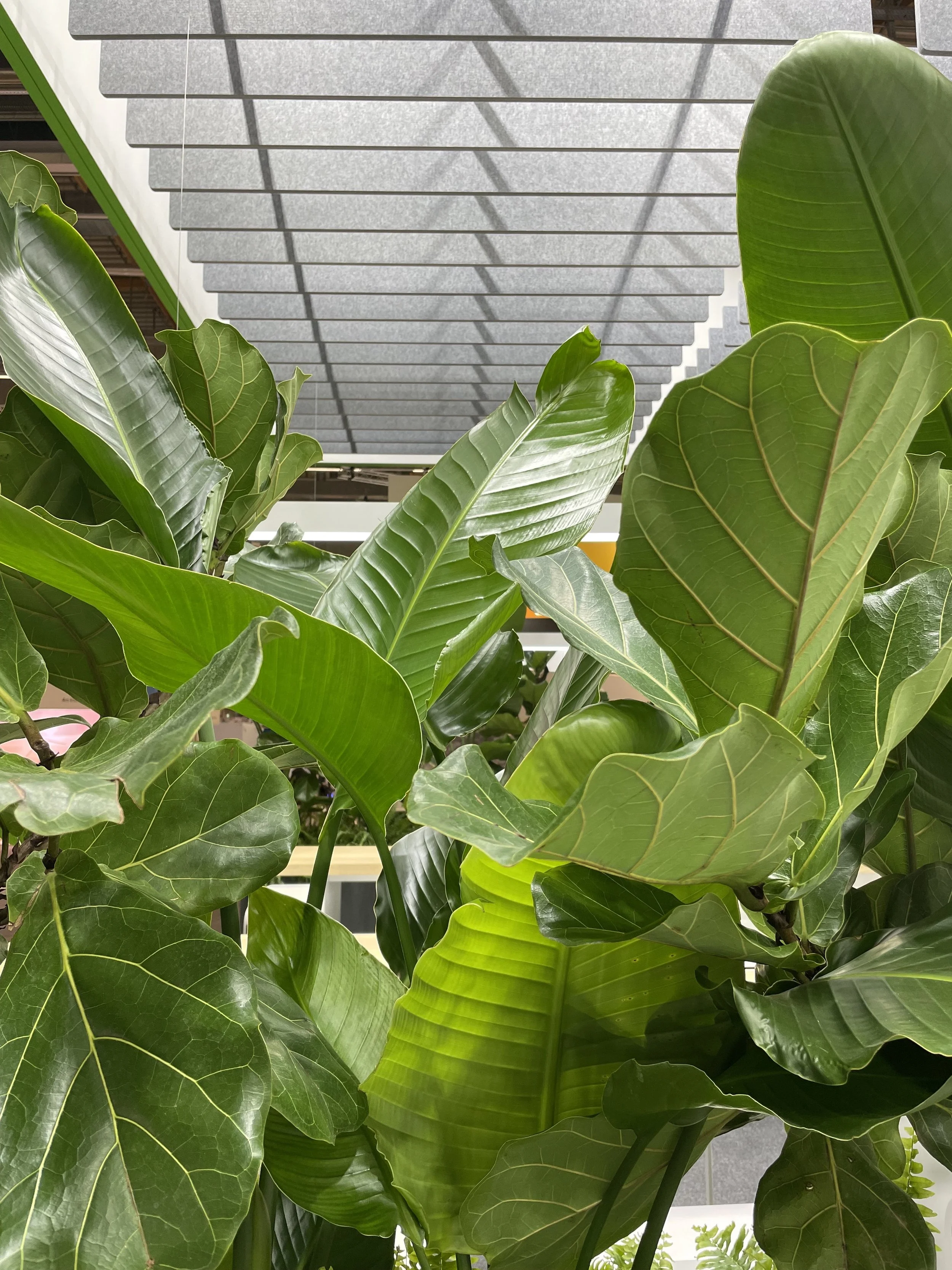 Landis+Gyr 贸易展会展位丨COORDINATION-10