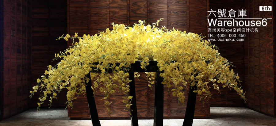 金兰湾美容SPA会所-0