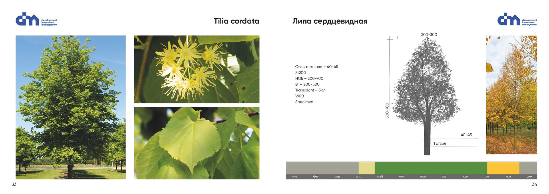 Greening standard for DIM Development-15