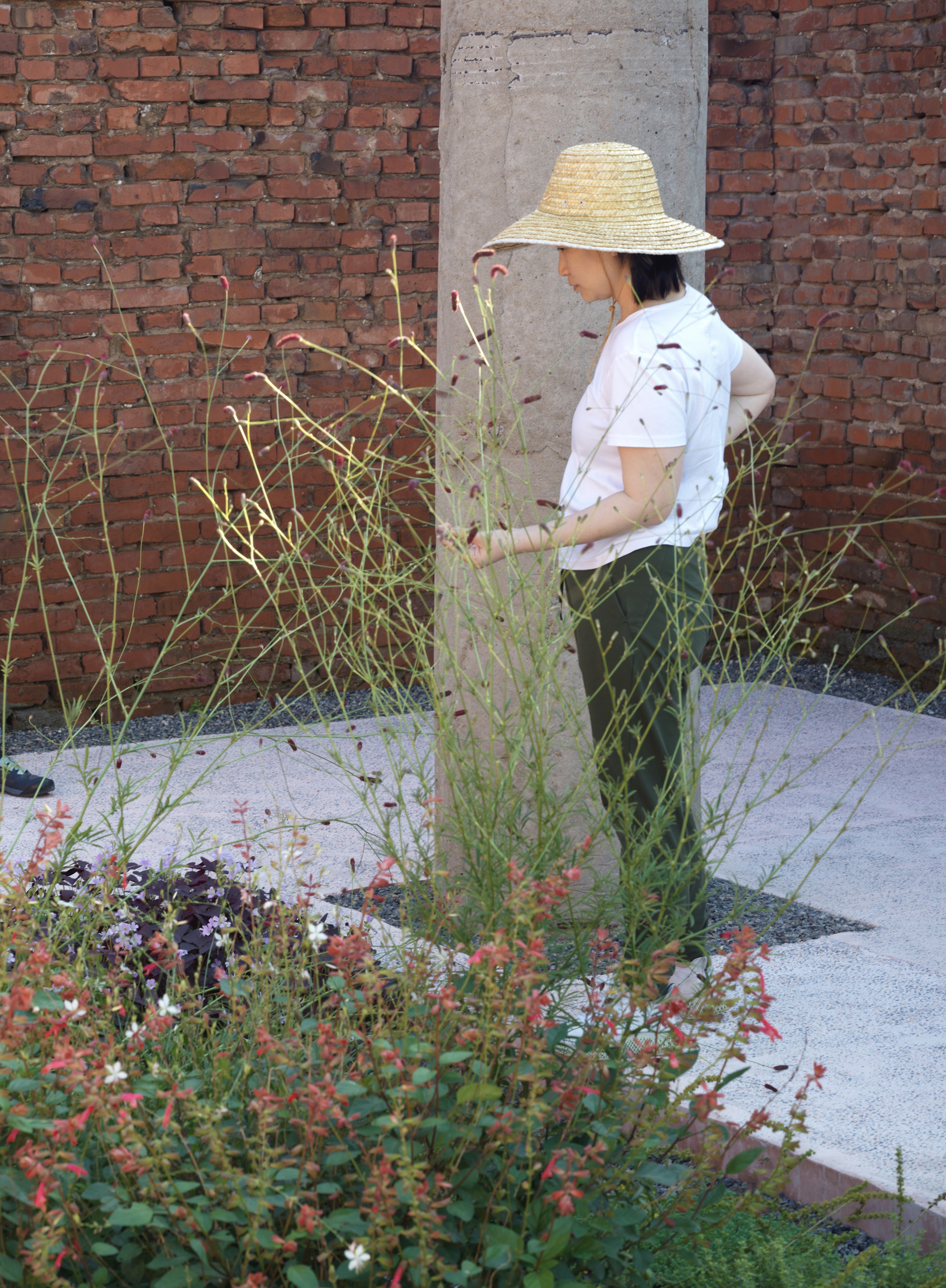 谷堆白沙 一期 景观丨中国白沙丨boll是园-101