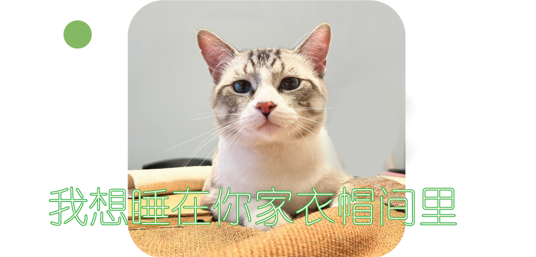 内卷的设计部年度考核丨公司设计部-40