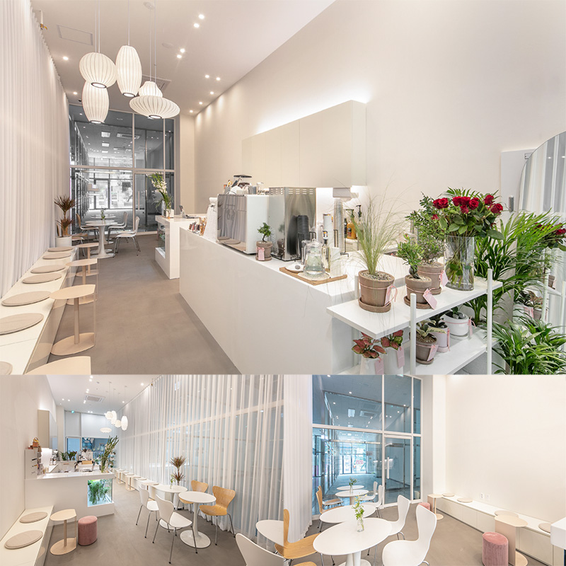 白色调的极简主义 | 20 平米的奢华室内设计-1