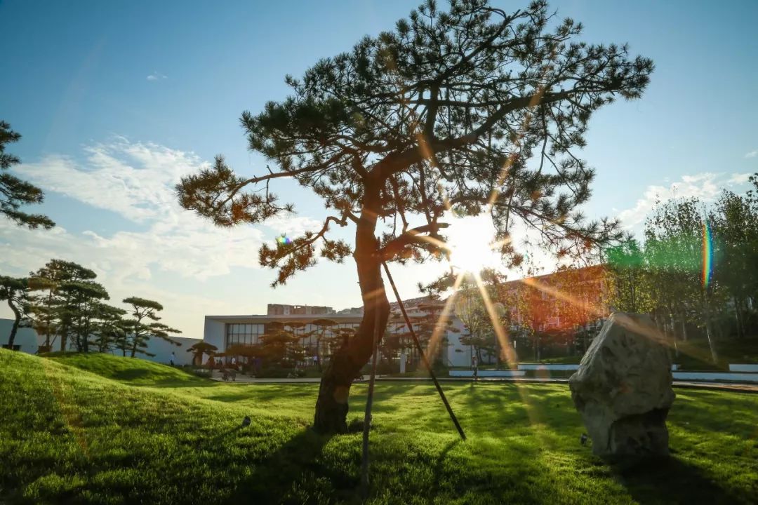 山海关金禧展示区 | 古松奇石，绘就历史画卷-51