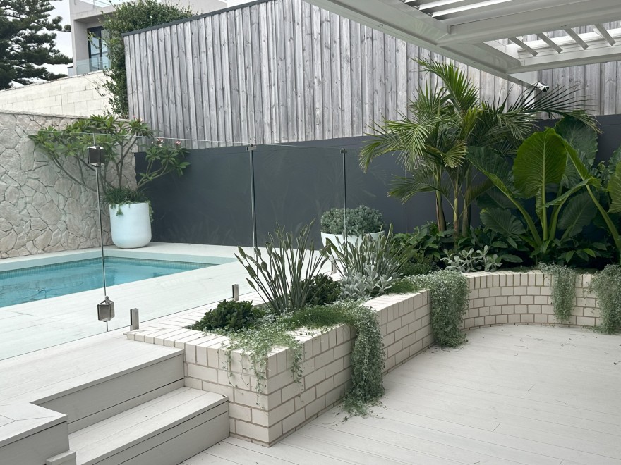 悉尼北岸景观设计丨澳大利亚悉尼丨Vogue & Vine-0