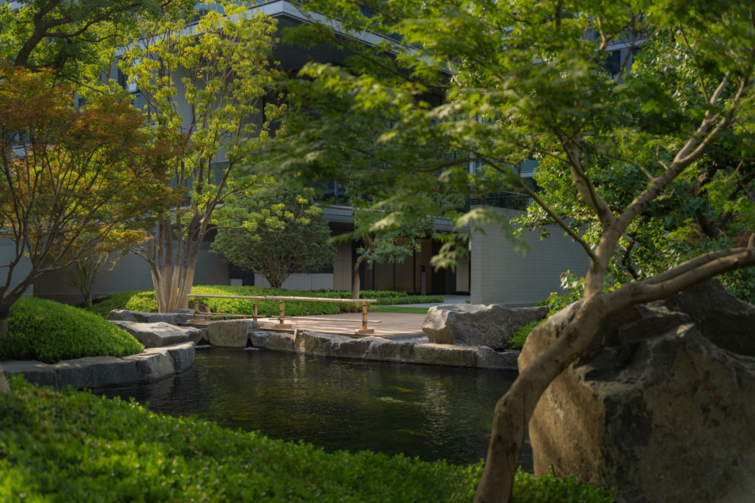 金沙东院大区丨中国商丘丨道合设计-62