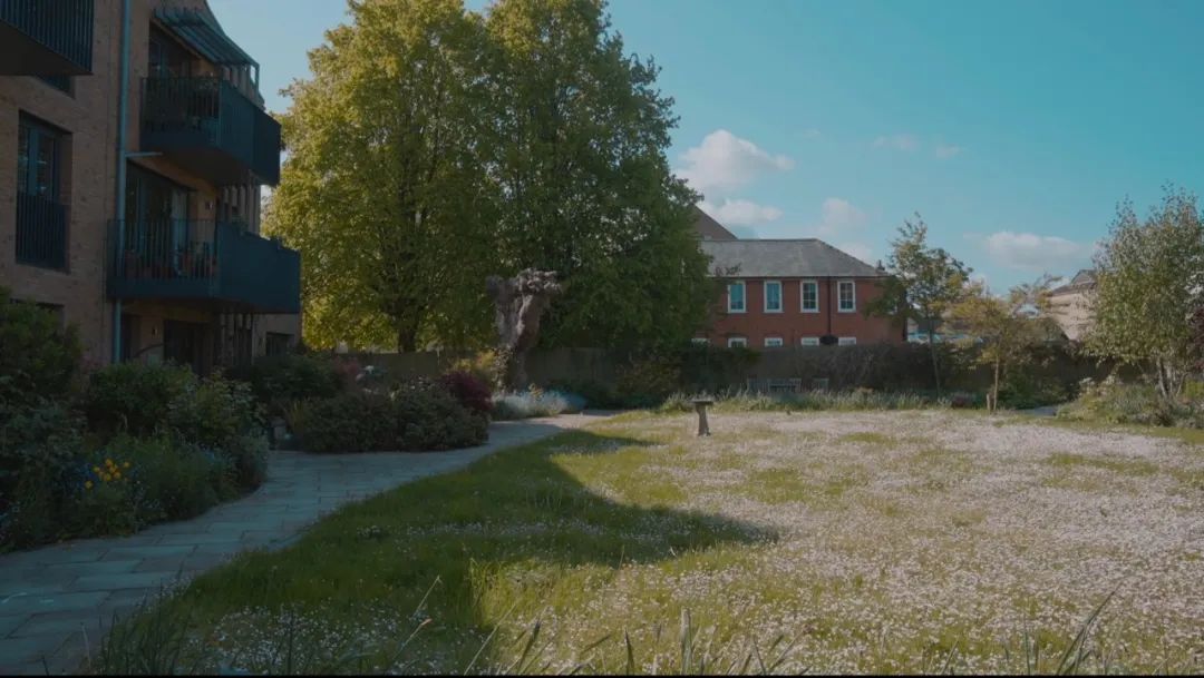 26个大龄女性共建养老社区，男友可以留宿-34