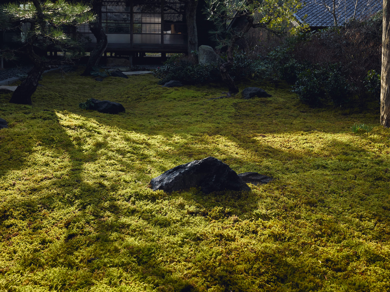 本岛避难所丨日本丨Makoto Yamaguchi-54