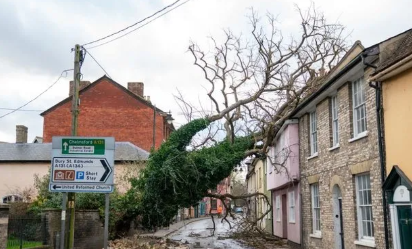 罗杰斯"千禧穹顶"被风暴撕毁！高技、高造价VS极端天气，建筑应该担责吗？-28