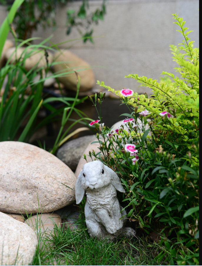 她花一万元,在院子里建了个“原生态鱼池”,太漂亮了!-13