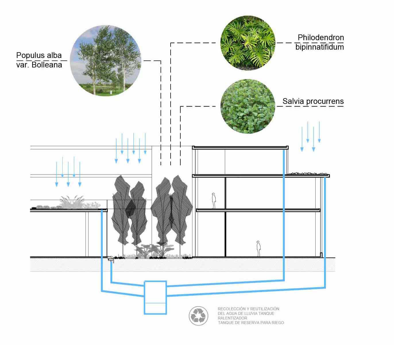 Concurso - Instituto Universitario de Seguridad-2