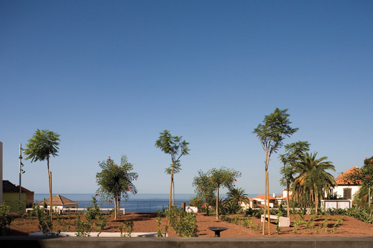 葡萄牙马德拉群岛 SALINAS 游泳池-26