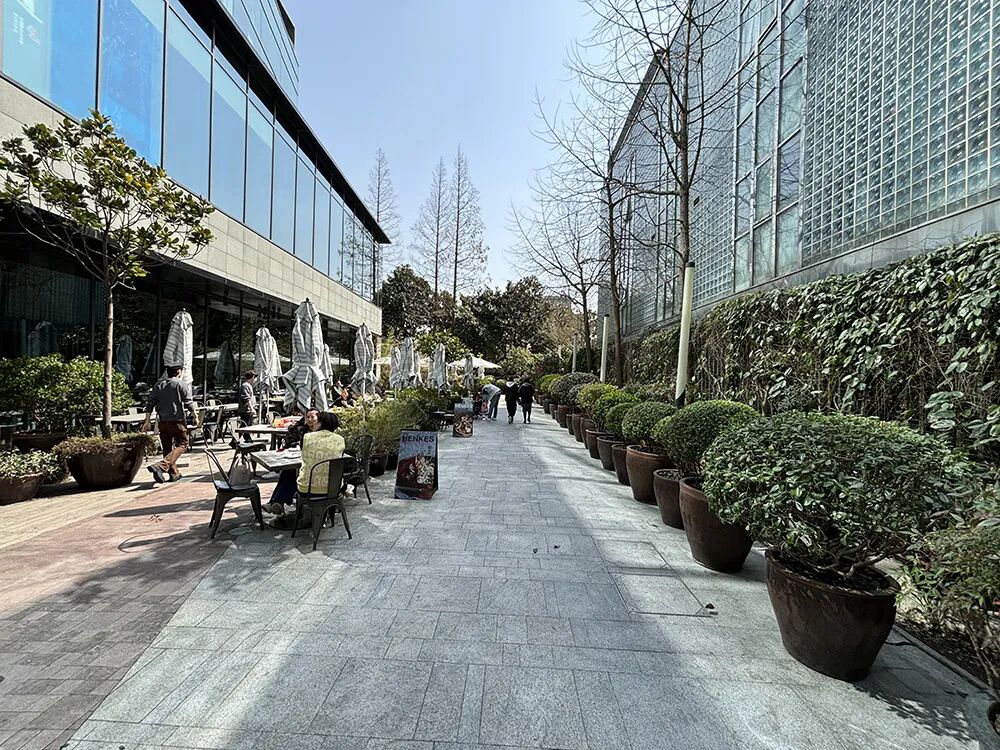 静安公园如何更新-21