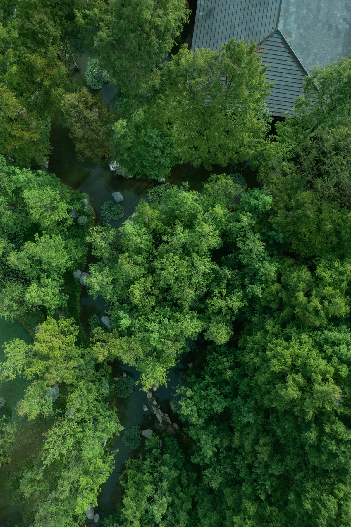 西湖高尔夫丨中国杭州丨NCD Studio 玖鹿设计-40