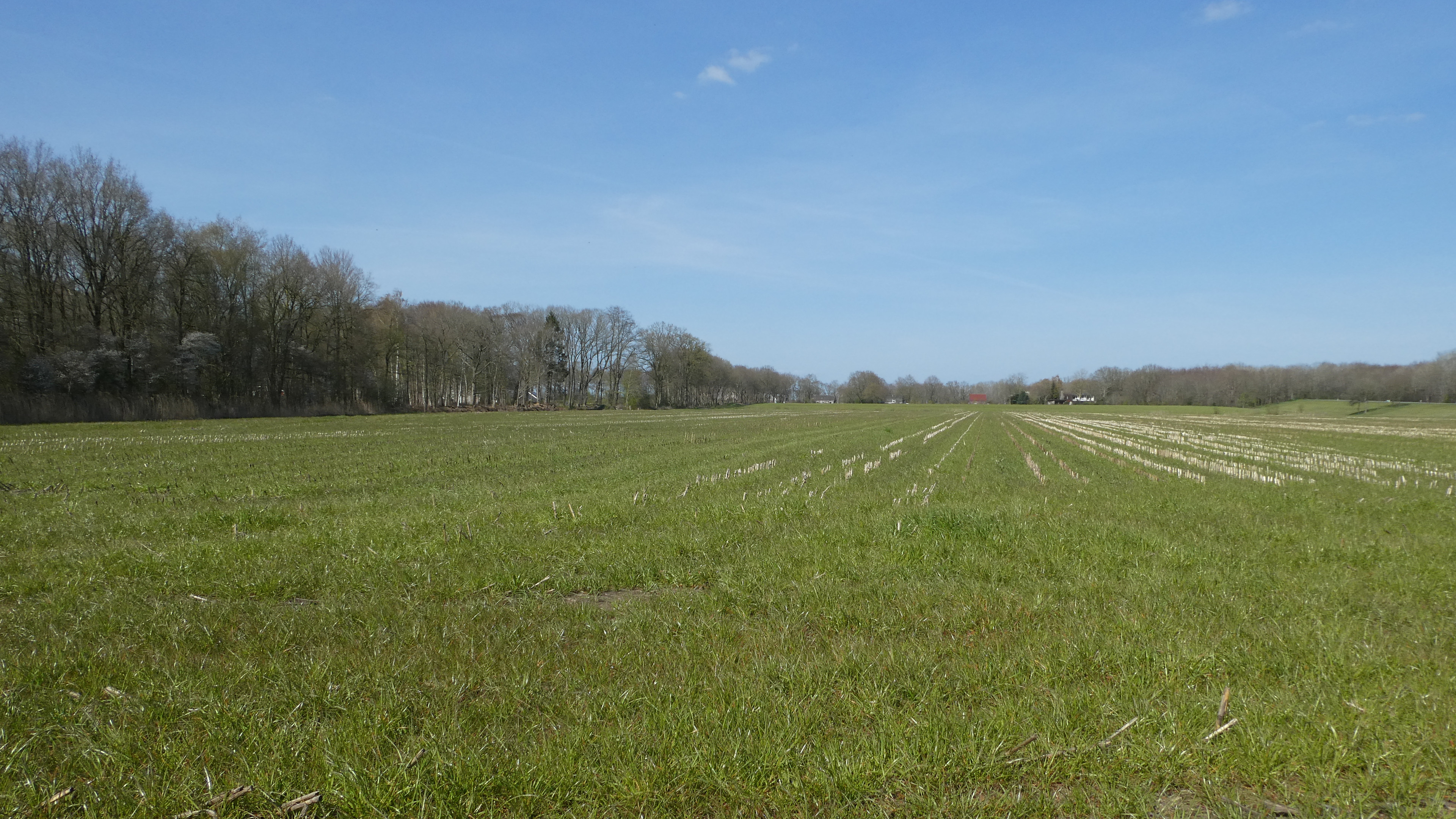 Solar park visualizations - photomontages-27