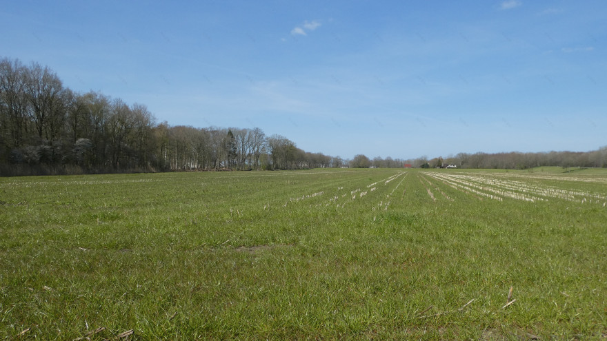 Solar park visualizations - photomontages-27