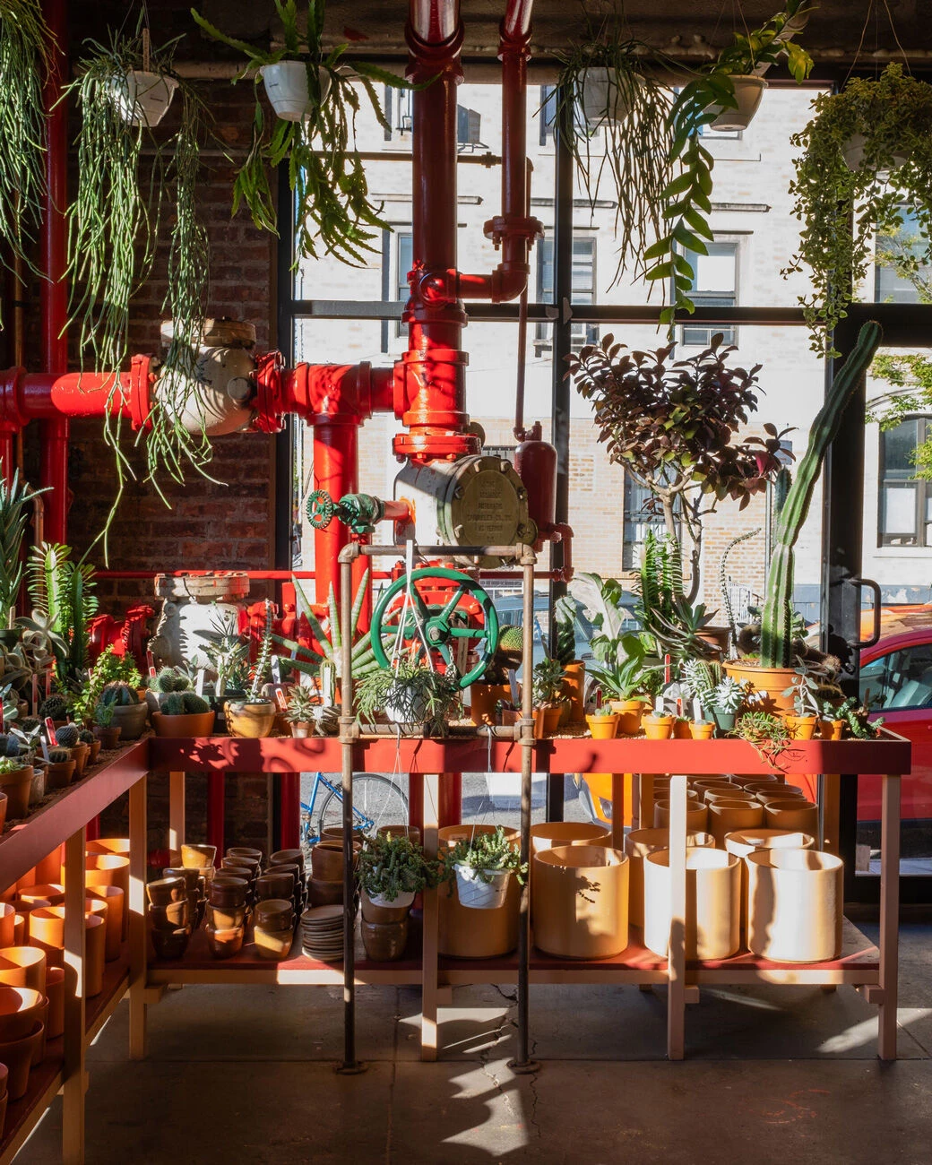 图拉植物与设计丨美国纽约-13