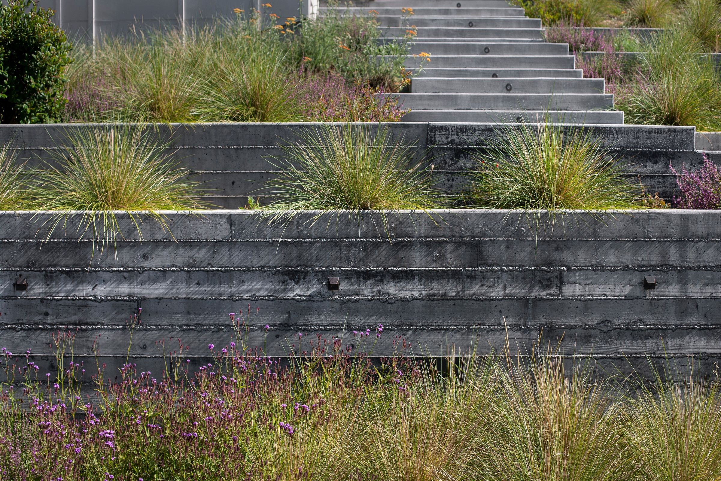 加州山间别墅 | 灵活布局与自然景观的完美融合-40