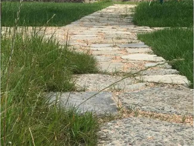 杨树浦六厂滨江公共空间更新·电站辅机厂东厂丨中国上海丨刘宇扬建筑事务所-209