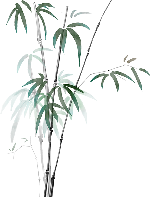 【工作动态】西山茶马花街|南藤云竹博物馆：让竹藤千年技艺在指尖“活”出时代新韵-0