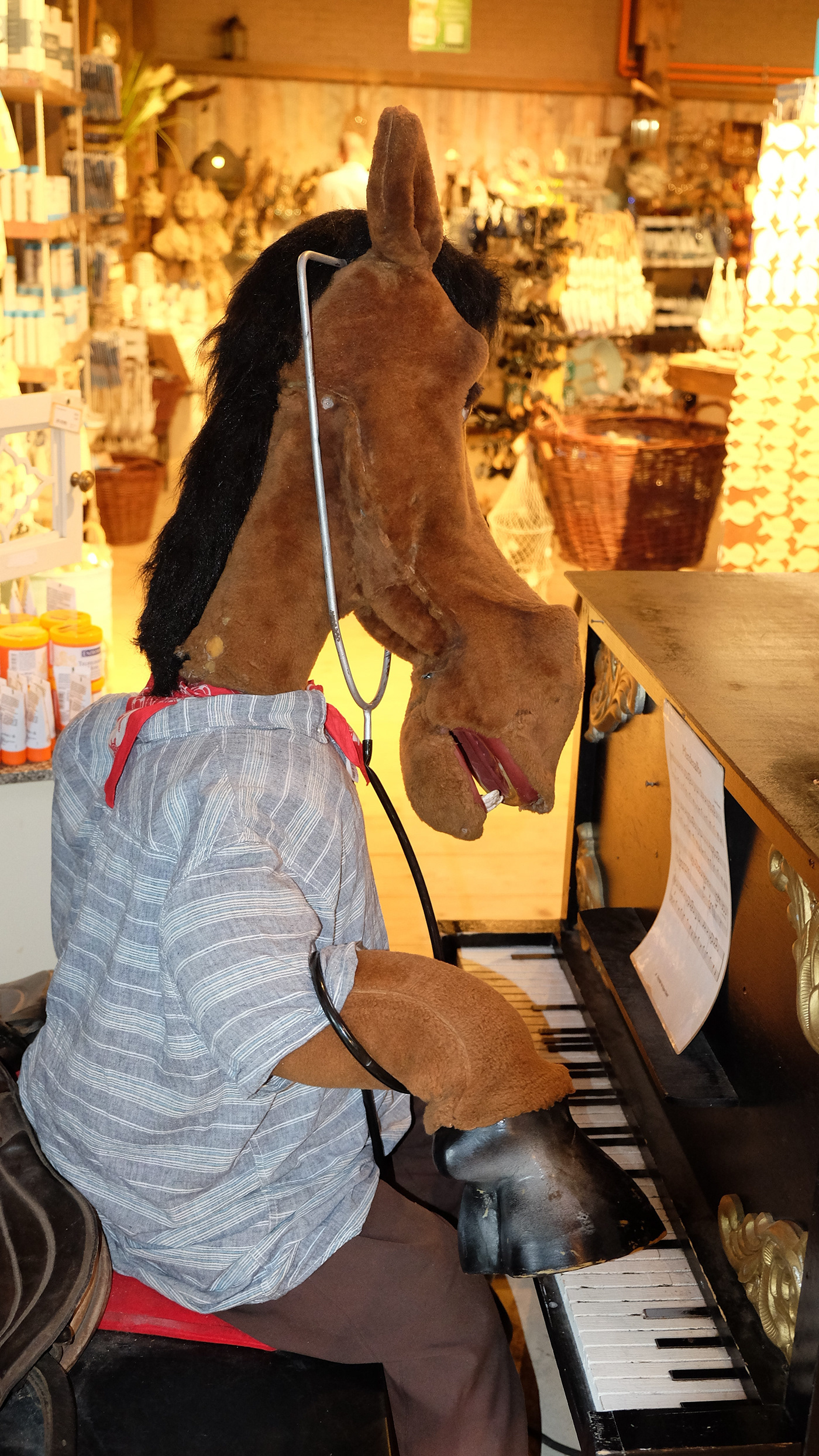 Rügen Prora Binz Sellin Göhren Bergen Putbus-9