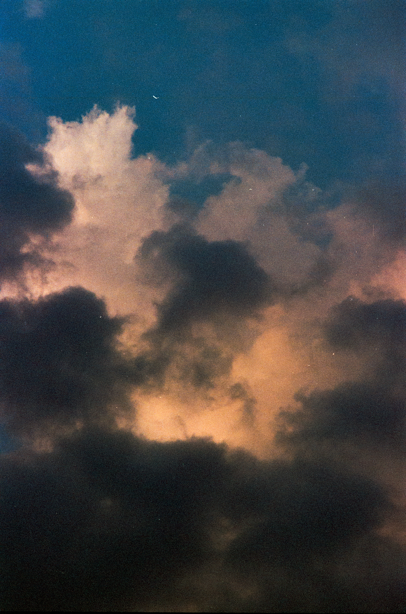 Kodak Portra 400 摄影作品欣赏-6