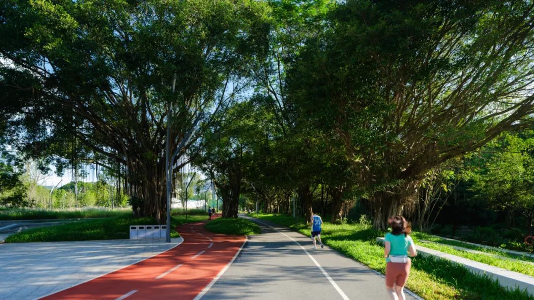 摩天都市中的绿色脉搏 | 深圳笔架山体育公园-130