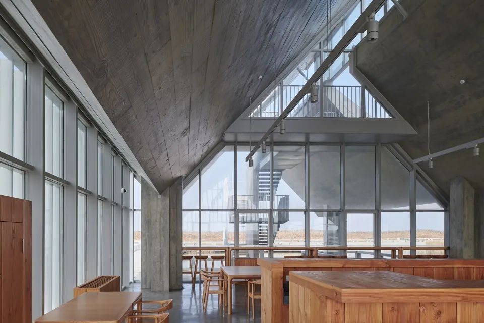 "一体两面"的崇明东滩湿地科研宣教中心-131