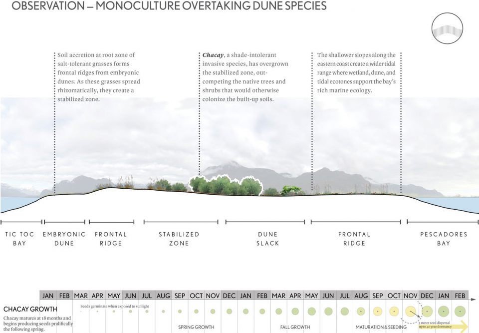 边缘保护 | 智利巴塔哥尼亚荒野低干预保护原型-44