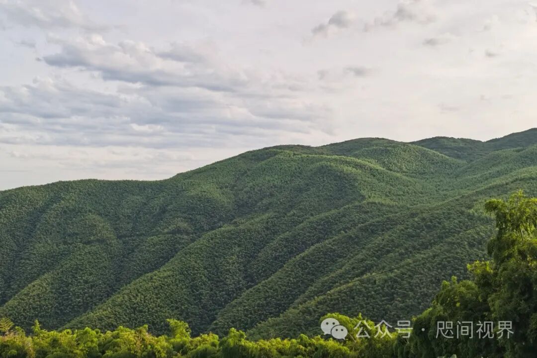 莫干山大白熊国际营地/咫间设计-45