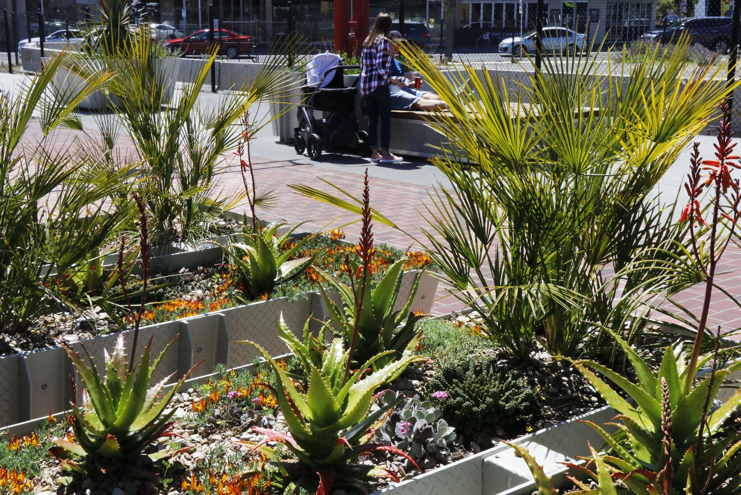 芒通站(LXRA)丨Cox Architecture-14