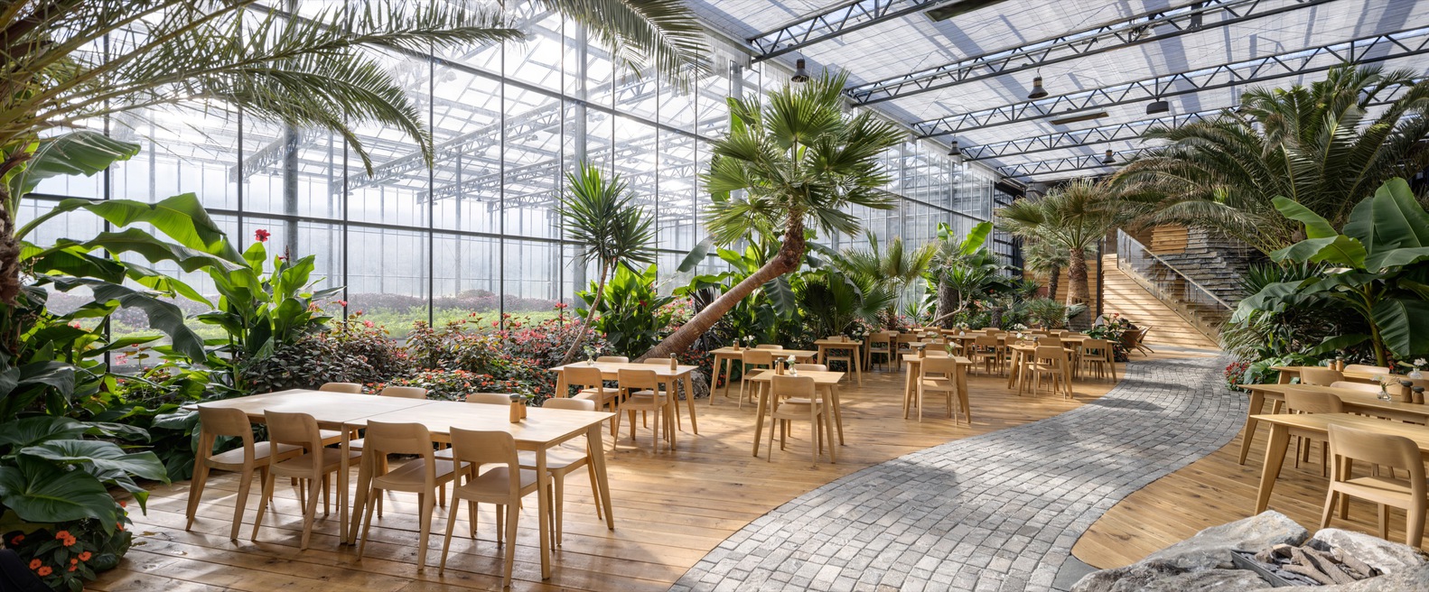 挪威 flor og fjre 温室-24