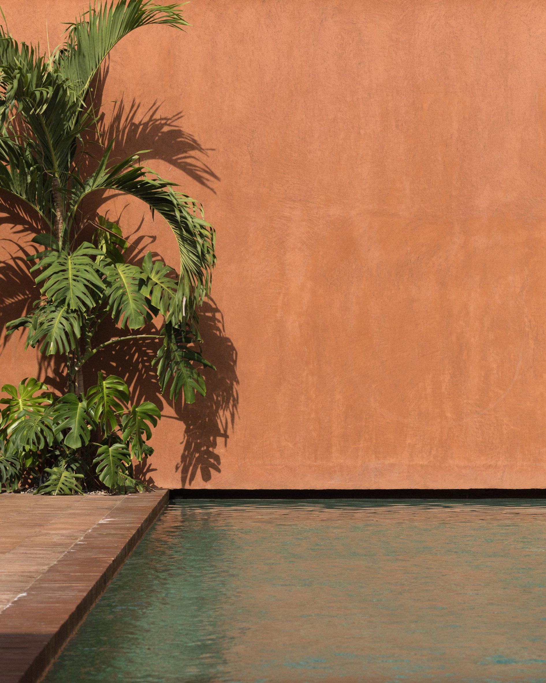 别墅建筑丨印度丨建筑设计MORQ,室内设计Studio Wenden-17