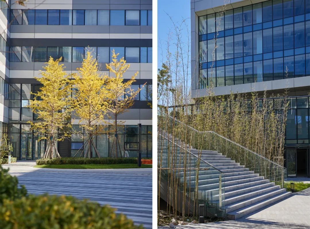 北京生物医药产业创新园丨中国大兴丨华通设计顾问工程有限公司-56