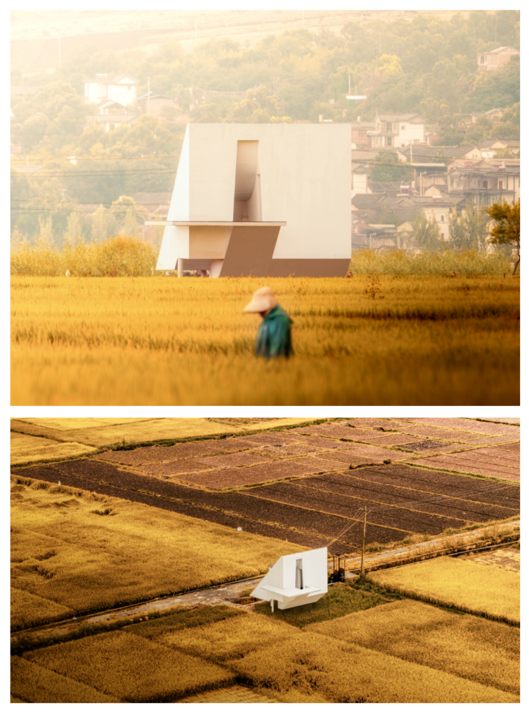 暑假背提-湖州&宣城搭建回顾|从露营地木构到茶山森林装置，探索自然与建造的共生-169