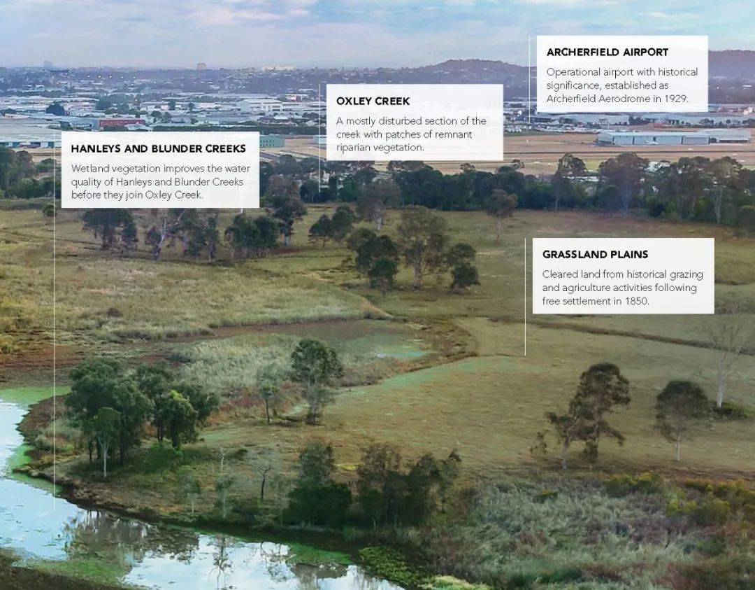 澳洲 Brisbane 市 Archerfield Wetlands 公园 | 环保与社区共享的设计典范-9