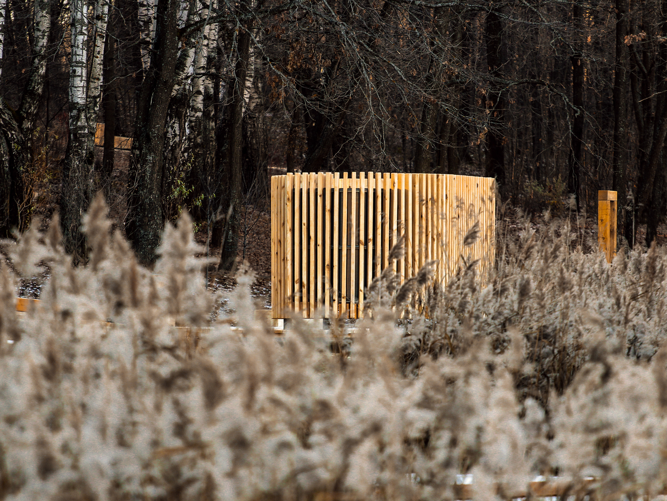 俄罗斯森林公园"自然++ 文化"设计-36