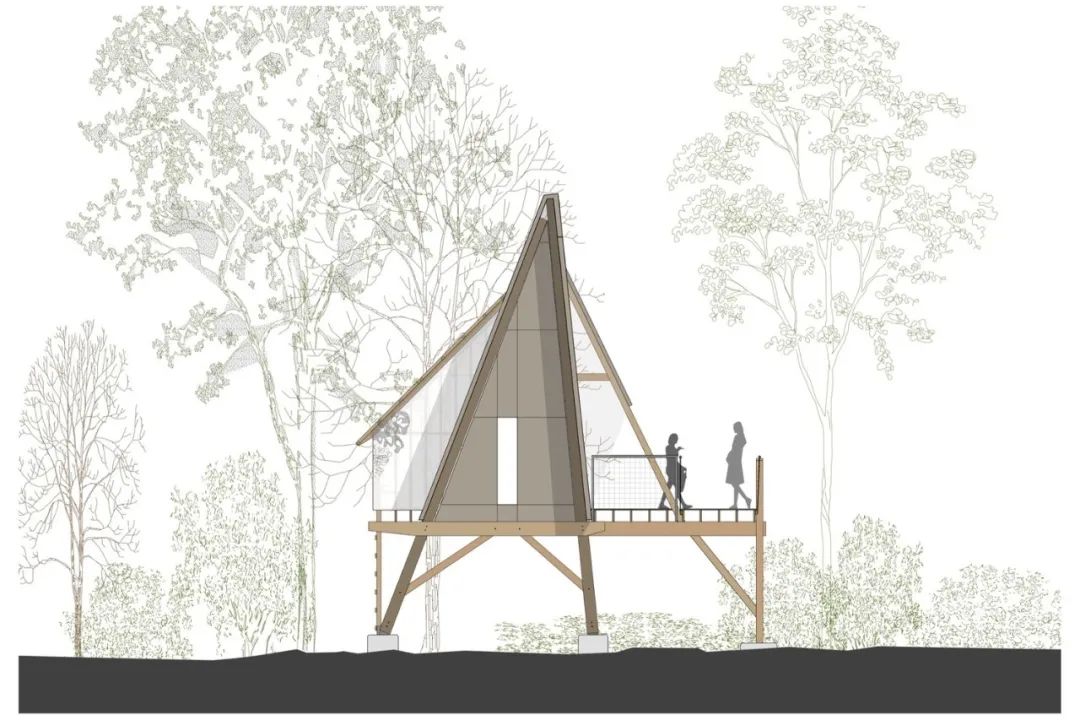 格雷厄姆营地 | 树屋冒险，自然与设计的完美融合-13