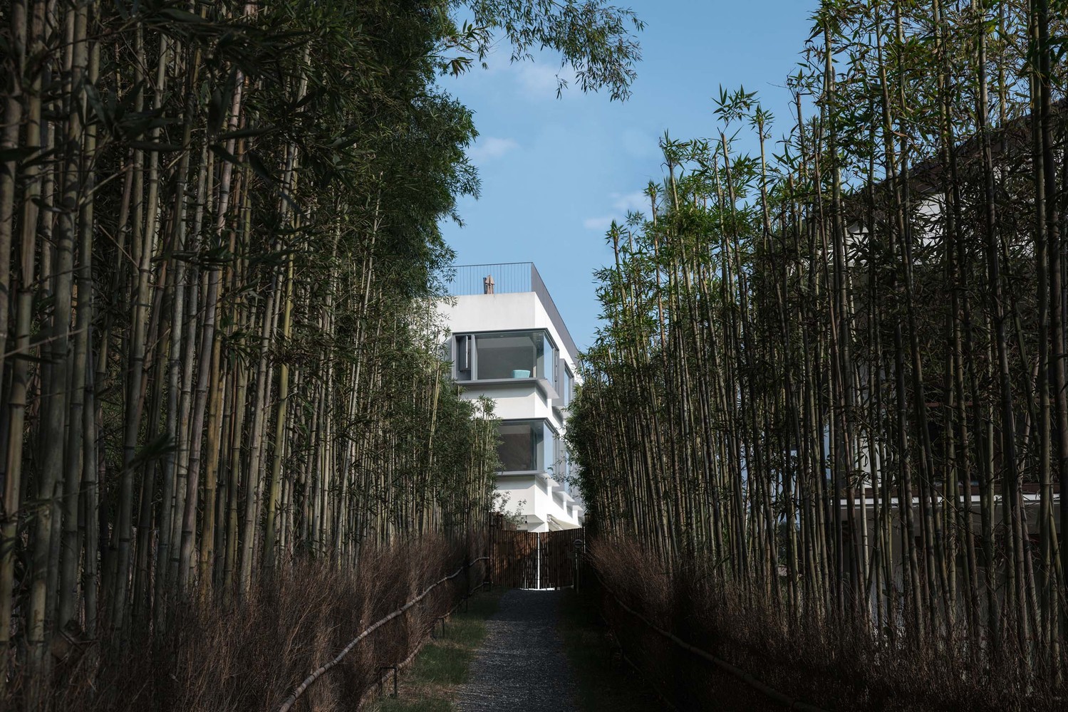 窗之居,演绎自然与建筑的共生对话-31